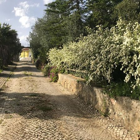 Quinta Dos Canais Сетубал Екстер'єр фото