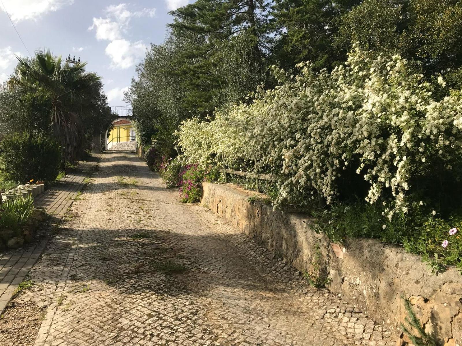 Quinta Dos Canais Сетубал Екстер'єр фото
